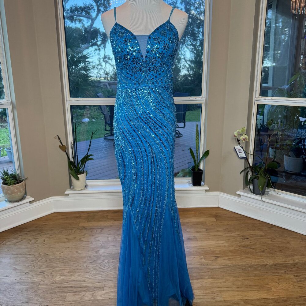 Blue Gown